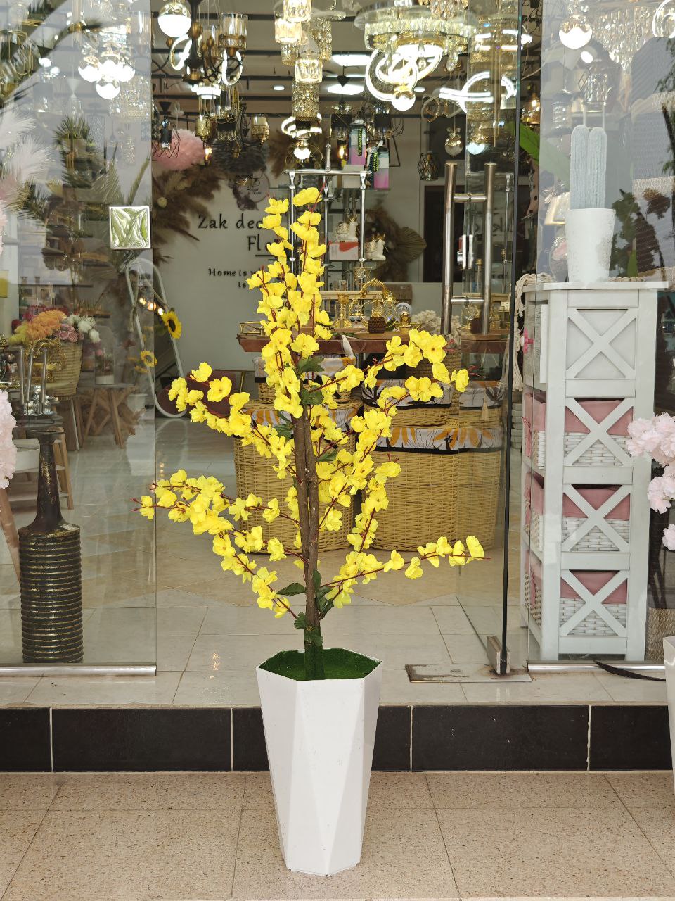 Plante a fleurs 1.20 cm