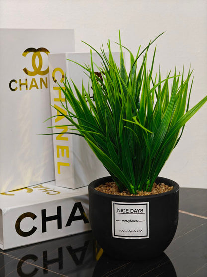 Plante artificielle, pot en verre